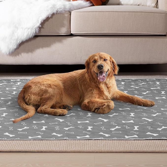 Eterish Reusable Washable Pee Pads for Dogs Large/Extra Large 36'' x 36'' 2 Pack, Absorbent Pet Puppy Dog Training Pads Non-Slip, Waterproof Whelping Potty Pads for Dogs Leak-Proof