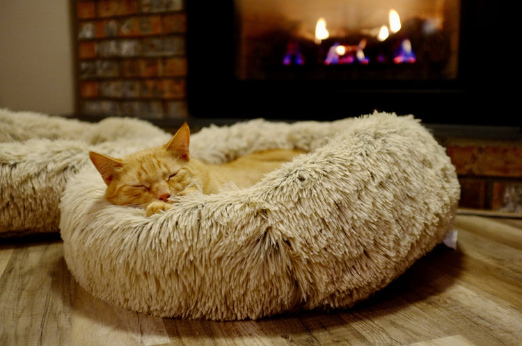 Cat Beds & Furniture