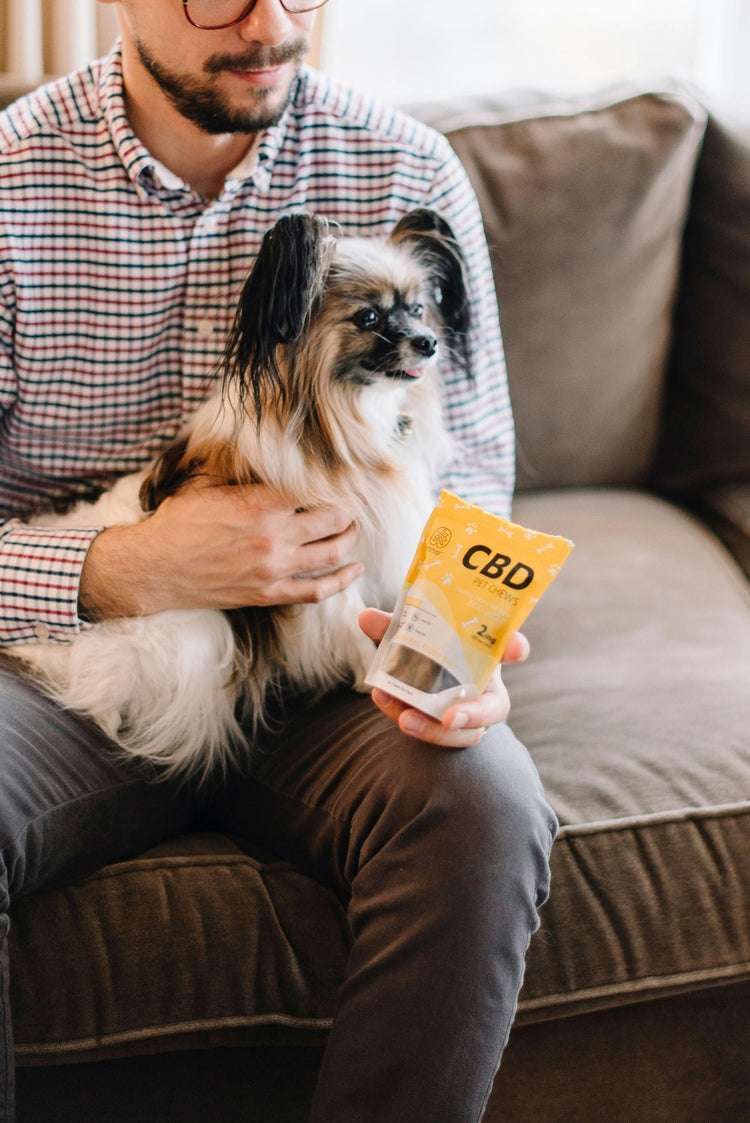 Dog Supplements
