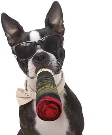 Paw-FECT Piece - Funny Plush Squeaky Dog Toy for Small/Medium/Large Dogs. Unique and Hillarious Gift for All Occasions.