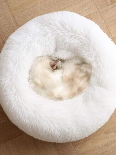 Cat Beds for Indoor Cats - Cat Bed Washable 20/24 inches, Dog Beds for Small Medium Dogs, Anti Anxiety Round Fluffy Plush Faux Fur Cat Bed, Thick Bottom (White, Small)