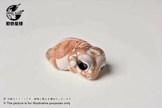 Animal Heavenly Body Series 2 Reptile Chubby Collectible Miniature - Gecko Statue for Home Office Decor, Realistic Sculpture (Nephrurus Levis Pilbarensis - Knob-Tailed Gecko)