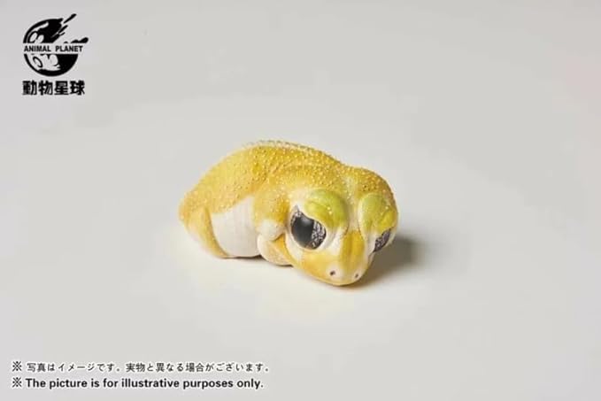 Animal Heavenly Body Series 2 Reptile Chubby Collectible Miniature - Gecko Statue for Home Office, Realistic Sculpture (Nephrurus Levis Pilbarensis - Knob-Tailed Gecko (Patternless))