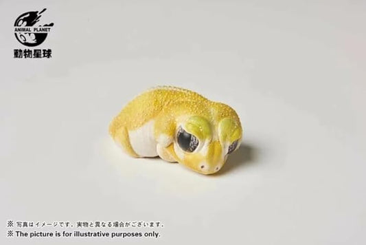 Animal Heavenly Body Series 2 Reptile Chubby Collectible Miniature - Gecko Statue for Home Office, Realistic Sculpture (Nephrurus Levis Pilbarensis - Knob-Tailed Gecko (Patternless))