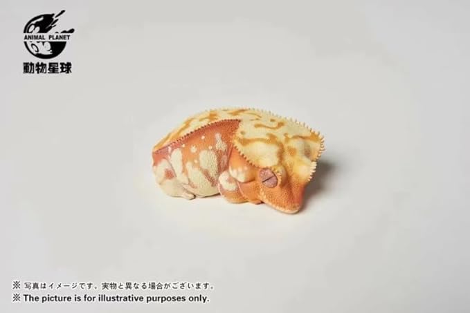 Animal Heavenly Body Gecko Rhacodactylus Ciliatus - Crested Gecko (Red Cream) Chubby Collectible Figurine Statue Handcrafted Amphibian