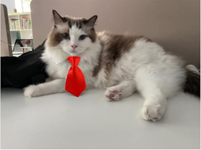 4 Pieces Pets Dog Cat Bowtie Pet Costume Adjustable Formal Necktie Collar for Cats Small Dogs Puppy Grooming Accessories (Black/red)