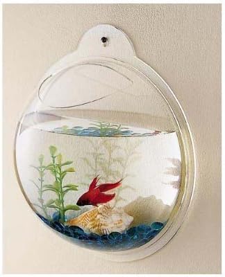 Wall-Hanging Fish Bowl Acrylic Wall-Mounted Plant Pot 1 Gallon Fish Tank 11.5-inches Decoration Planter