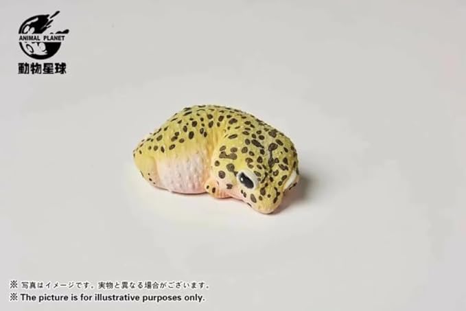 Animal Heavenly Body Series 2 Reptile Chubby Collectible Miniature - Gecko Statue for Home Office Decor, Realistic Sculpture (Eublepharis Macularius - Leopard Gecko)