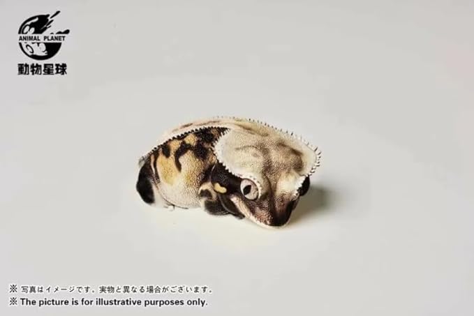 Animal Heavenly Body Series 2 Reptile Chubby Collectible Miniature - Gecko Statue for Home Office Decor, Realistic Sculpture (Rhacodactylus Ciliatus - Crested Gecko (Lily White))