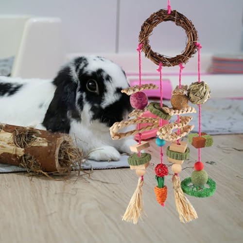 Rabbit & Guinea Pig Toys - Hamster & Bunny Toys - Natural Timothy Hay & Apple Wood Sticks - Chinchilla Teeth Care - Handmade Dream Catcher