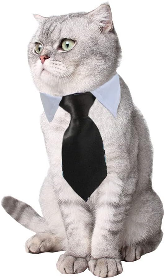 4 Pieces Pets Dog Cat Bowtie Pet Costume Adjustable Formal Necktie Collar for Cats Small Dogs Puppy Grooming Accessories (Black/red)