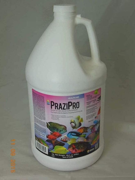 Hikari Aquarium Solutions 1 Gallon