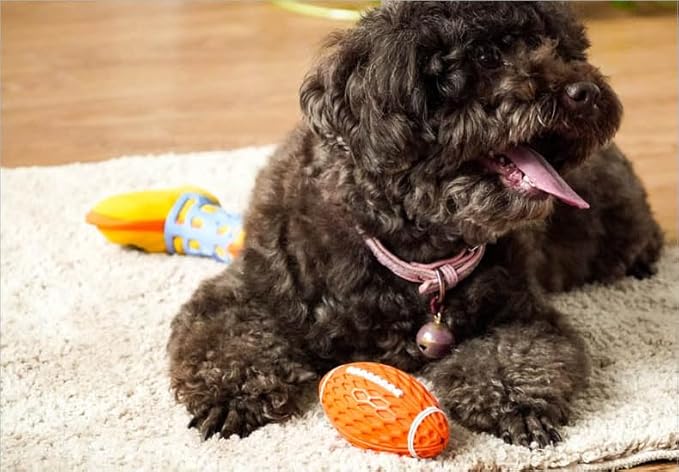 AUSCAT 2PCS Squeaky Dog Football Toy for Aggressive Chewers, Tough Rubber Dog Ball for Small Medium Dogs, Green and Orange, Small, 4.1"