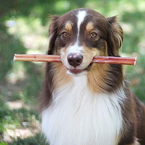EcoKind Pet Treats All-Natural Premium 12 Inch Bully Sticks for Dogs | 16 Oz. Bag | Delicious Protein Rich Dog Chews
