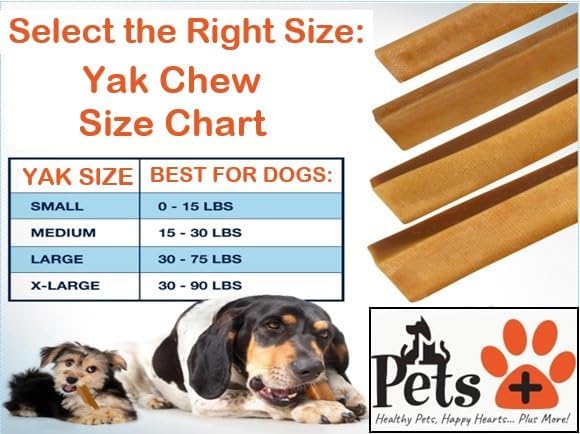Pets Plus Himalayan Yak Chews for Dogs – 6 Inch, Medium Size, 8oz, 3-Pack – Long-Lasting Natural Dog Chews, Grain-Free, Odorless, High Protein Treats