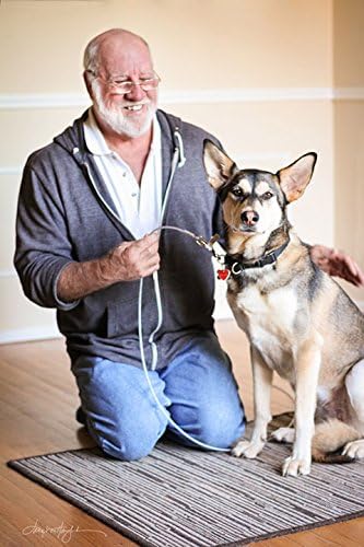 Paul Owens, The Original Dog Whisperer 4 Ft. Chew-Proof Training Tether for Dogs & Puppies