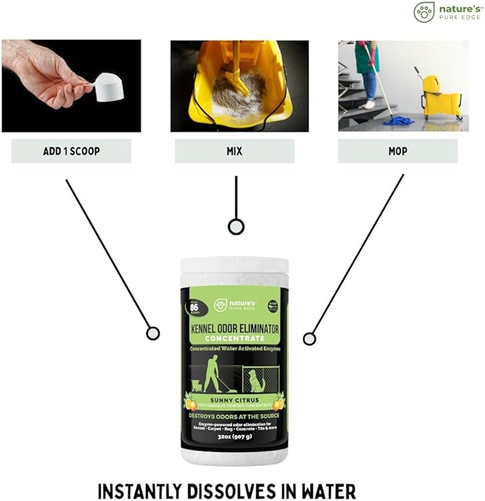 Nature's Pure Edge Enzyme Powder Concentrate Makes 86 Gallons - Professional KOE for Kennel and Pet Odor Elimination - Removes Urine Poop from Carpets Floors - Sunny Citrus