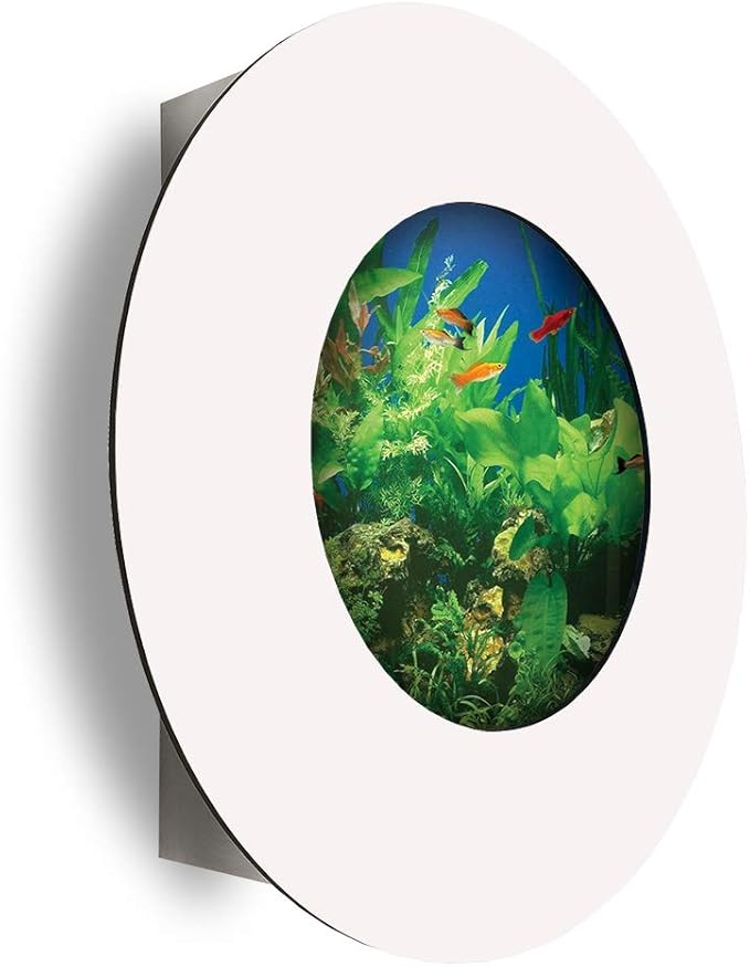 AA-Porthole-MWHITE 2.0 Wall Mounted Aquarium, Matte White
