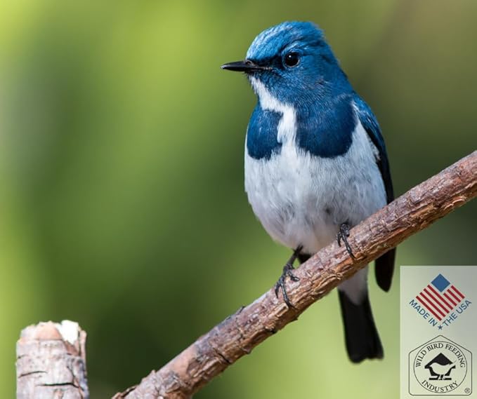 Blue Seal Neat Feast Wild Bird Seed | Attracts Wide Variety of Wild Outside Birds | Seed for Outside Feeder | Convenient Shell-Free Mix | Made in USA | 8 Pound Bag