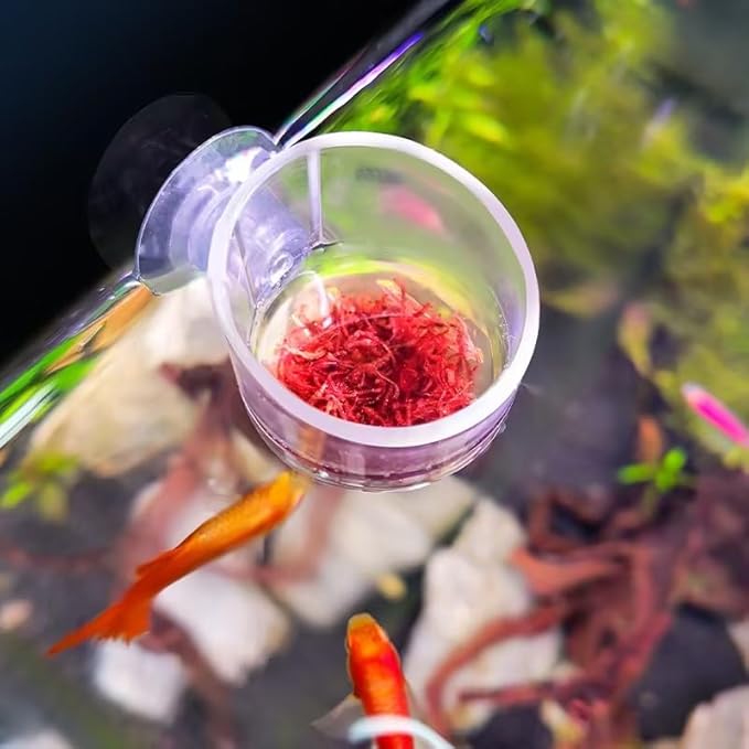 1Pc Oval Aquarium Plant Holder Cup - Crystal Glass Aquatic Plant Pot, Aquarium Aquatic Planter | Red Shrimp Live Plants Fish Tank Glass Holder