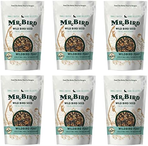 Mr. Bird 6-Pack WildBird Feast Large Loose Seed Bag 4 lbs.