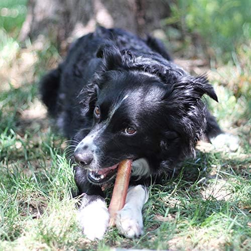 EcoKind Pet Treats All-Natural Premium 12 Inch Bully Sticks for Dogs | 16 Oz. Bag | Delicious Protein Rich Dog Chews
