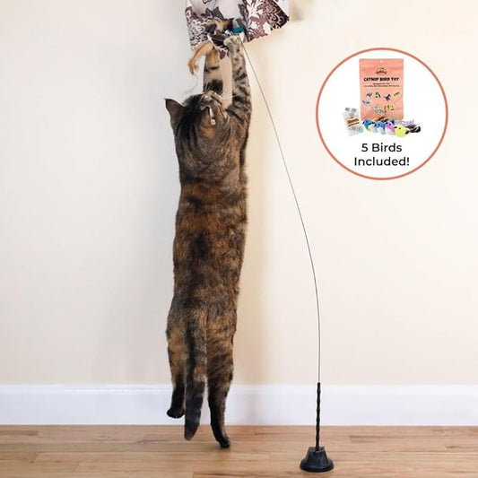 Interactive Bird Simulation Cat Toy Set, Interactive Cat Toys for Indoor Cats, Cat Feather Toy, Self-Holding Suction Base, 5 Catnip Birds, Feathers & Bells (5 Replacement Catnip Birds)