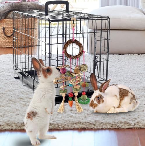 Rabbit & Guinea Pig Toys - Hamster & Bunny Toys - Natural Timothy Hay & Apple Wood Sticks - Chinchilla Teeth Care - Handmade Dream Catcher