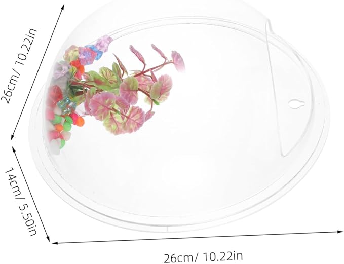 Acrylic Wall-Mounted Fish Bowl Betta Aquarium Multipurpose Wall Planter