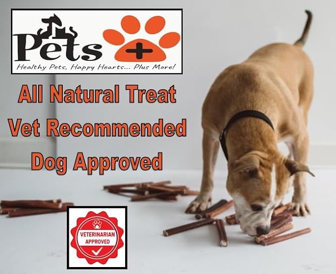 Pets Plus Premium Bart's Bully Sticks for Dogs – 6 Inch, Medium Size, All-Natural, Long-Lasting Chews for Moderate Chewers – High Protein, Low Odor, Grain-Free (5-Pack)