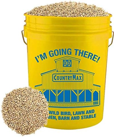 CountryMax Sunflower Chips Medium Sized Shelled No Waste Bird Seed (20 Pound Bucket)