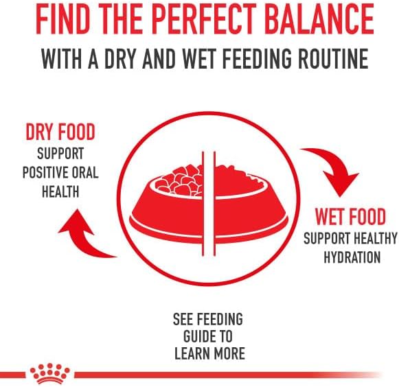 Royal Canin Bichon Frise Adult Dry Dog Food, 3 lb bag