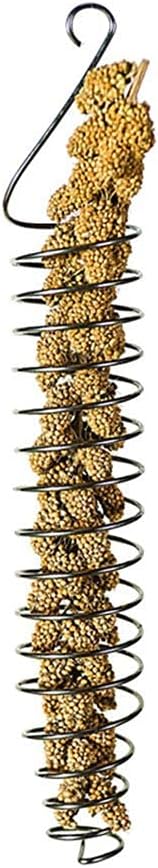 QBLEEV Stainless Steel Bird Food Holder, Parrots Foraging Toys, 25cm Long, 82g Weight, Fits Nuts, Fruits, Vegetables, Grain, Wheat, Chew Toys for Conures, Parakeets, Cockatoos