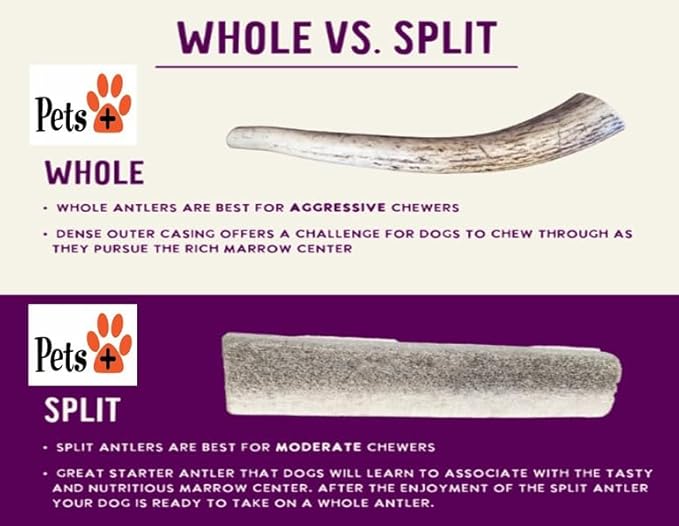 Pets Plus Split Antler Chews for Dogs – 6 Inch, Medium, 2-Pack – Natural Deer Antlers, Long-Lasting Dog Chew Bones, Odor-Free, for Aggressive Chewers & Dental Health