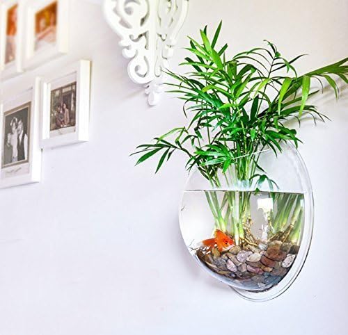 Wall-Hanging Fish Bowl Acrylic Wall-Mounted Plant Pot 1 Gallon Fish Tank 11.5-inches Decoration Planter