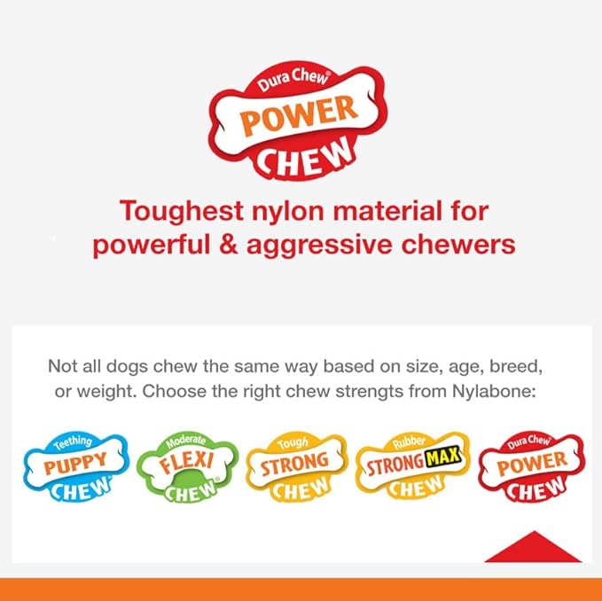 Nylabone Original Bone Power Chew Toy for Dogs, Durable Dog Toys for Aggressive Chewers, Basted Blast Bacon & Chicken Flavor, Medium - Up to 35 lbs, 2 Pack