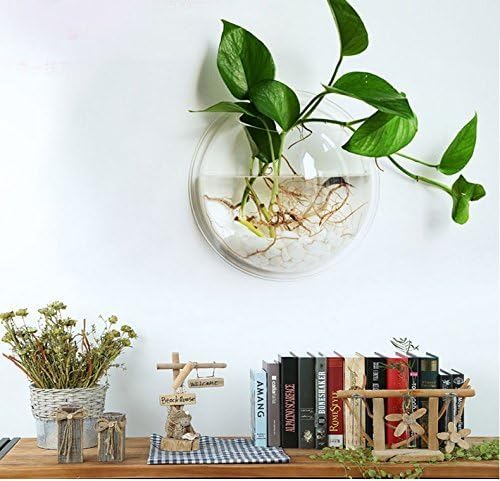 Wall-Hanging Fish Bowl Acrylic Wall-Mounted Plant Pot 1 Gallon Fish Tank 11.5-inches Decoration Planter