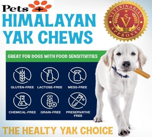 Pets Plus Himalayan Yak Chews for Dogs – 6 Inch, Medium Size, 8oz, 3-Pack – Long-Lasting Natural Dog Chews, Grain-Free, Odorless, High Protein Treats