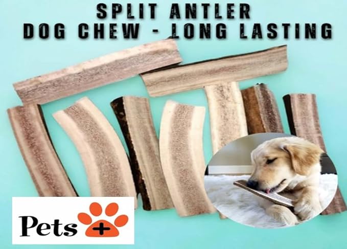 Pets Plus Split Antler Chews for Dogs – 6 Inch, Medium, 2-Pack – Natural Deer Antlers, Long-Lasting Dog Chew Bones, Odor-Free, for Aggressive Chewers & Dental Health