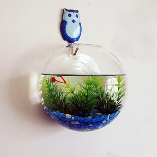 Fish Bubbles - Wall Mounted Acrylic Fish Bowl