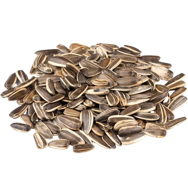 Gerbs Jumbo Lightly Sea Salted Whole Sunflower Seeds 14 oz. | Small Batch, No Additives, Resealable Bag | Crack-and-Eat Crunchy Snack | Top 14 Allergen-Free