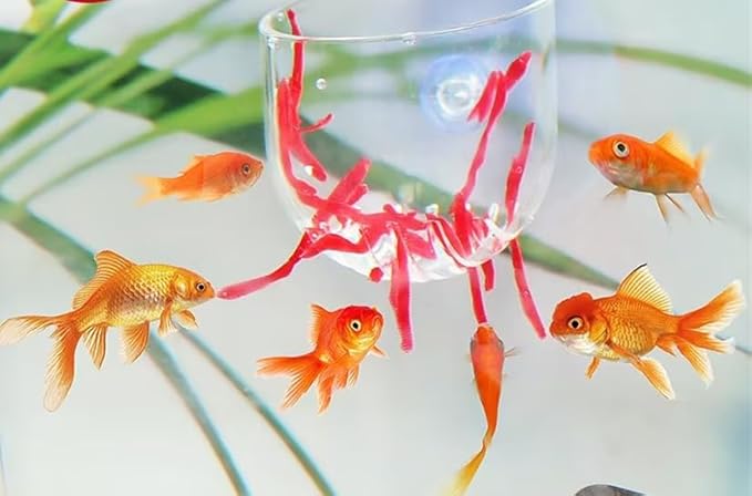 1Pc Oval Aquarium Plant Holder Cup - Crystal Glass Aquatic Plant Pot, Aquarium Aquatic Planter | Red Shrimp Live Plants Fish Tank Glass Holder