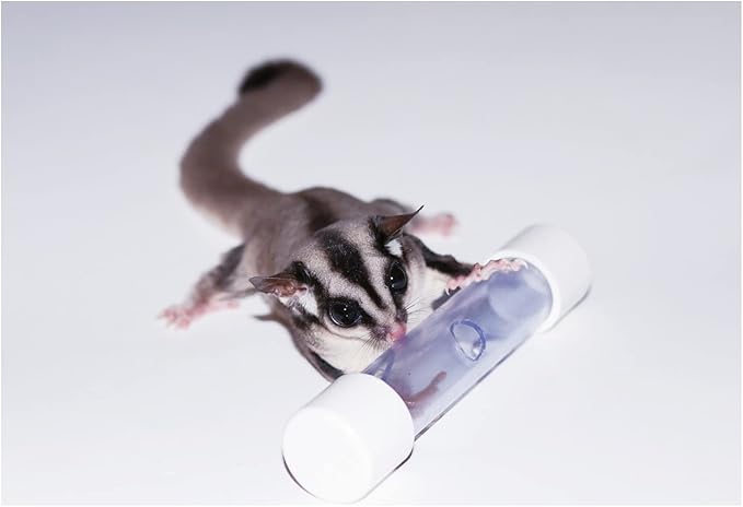 Exotic Nutrition Rolling Forage Cylinder - Fun & Unique Forage Toy - Sugar Glider, Hedgehog, Squirrel, Chinchilla, Prairie Dog, Degu, Chicken, Bird, Skunk, Rabbit, Hamster, and Other Small Animals