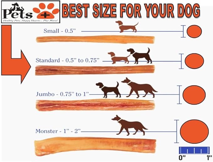 Pets Plus Premium Bart's Bully Sticks for Dogs – 6 Inch, Medium Size, All-Natural, Long-Lasting Chews for Moderate Chewers – High Protein, Low Odor, Grain-Free (10-Pack)