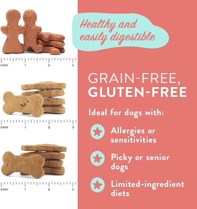 Portland Pet Food Company Bacon Dog Treats Healthy Biscuits for Large Medium & Small Dogs - Grain-Free, Human-Grade, All Natural Cookies, Snacks & Training Treats - Made in The USA - 3 Pack (5 oz)