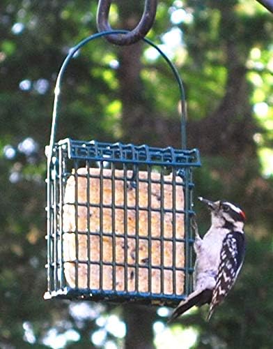 Suet Cake Variety Packs | 11 oz. Wild Bird Suet Cakes | (Hot Pepper, 10 Pack)