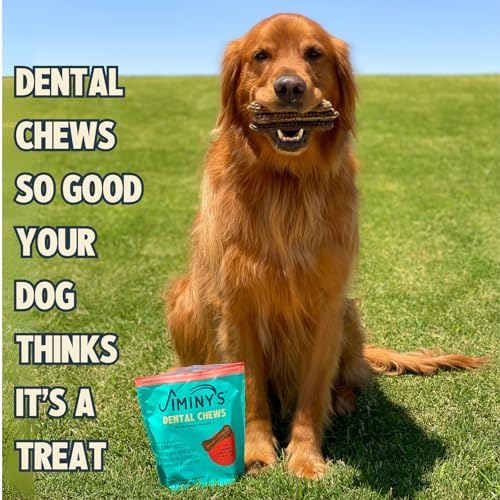 Jiminy's Dental Chews for Dogs, Cinnamon Flavor, Scientifically Proven to Improve Oral Health, Dental Bones Clean Teeth, Fight Bad Breath, and Removes Plaque and Tartar, Large, 7ct (Pack of 6)