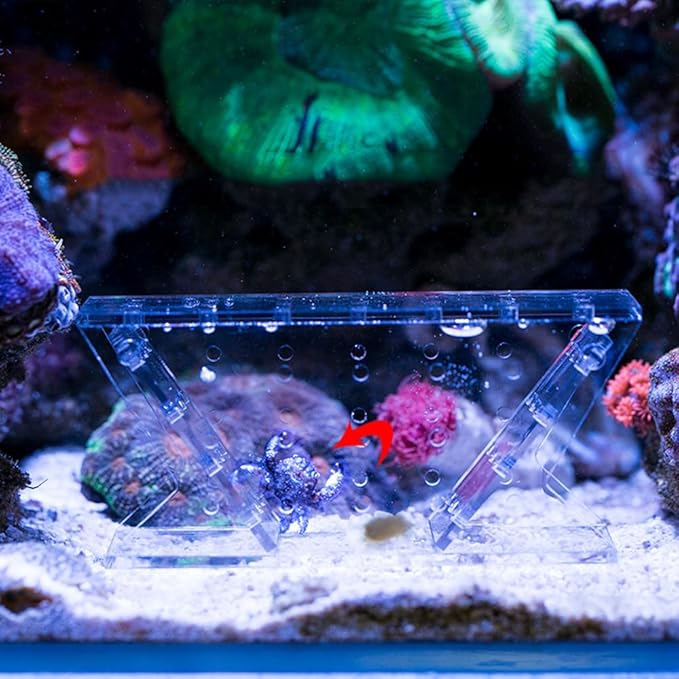 HIERYAN Fish Tank Snail & Shrimp Catcher, Aquarium Crab Trap, Shrimp Catching Device