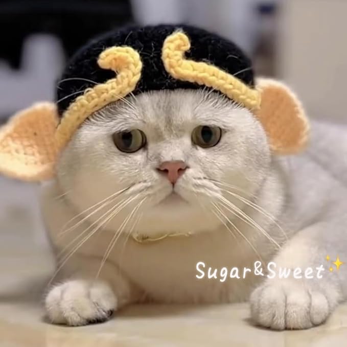 Pet Head Adorable Cat & Dog Headwear - Knit Beanie, Soft & Adjustable, Halloween Accessory (Small, Under 6 lbs)