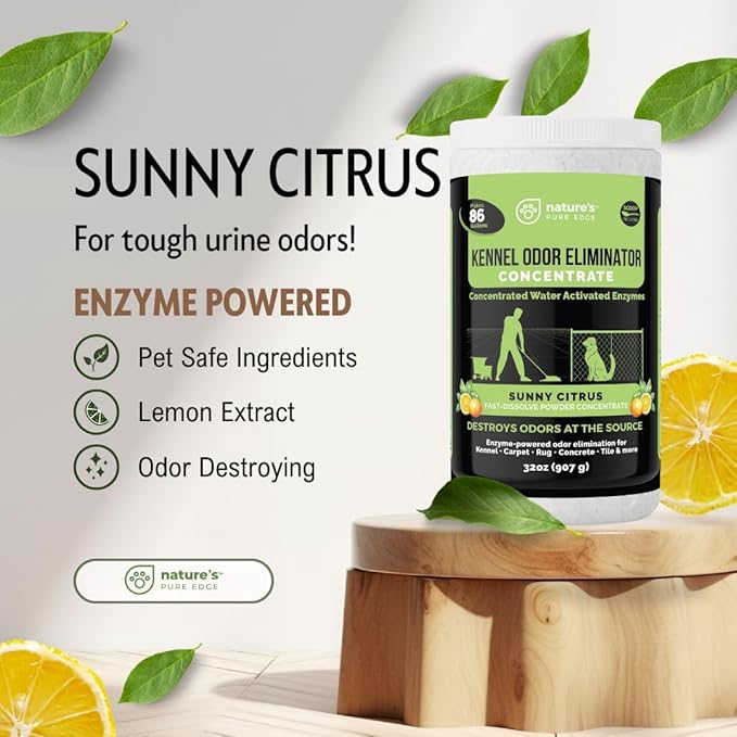 Nature's Pure Edge Enzyme Powder Concentrate Makes 86 Gallons - Professional KOE for Kennel and Pet Odor Elimination - Removes Urine Poop from Carpets Floors - Sunny Citrus